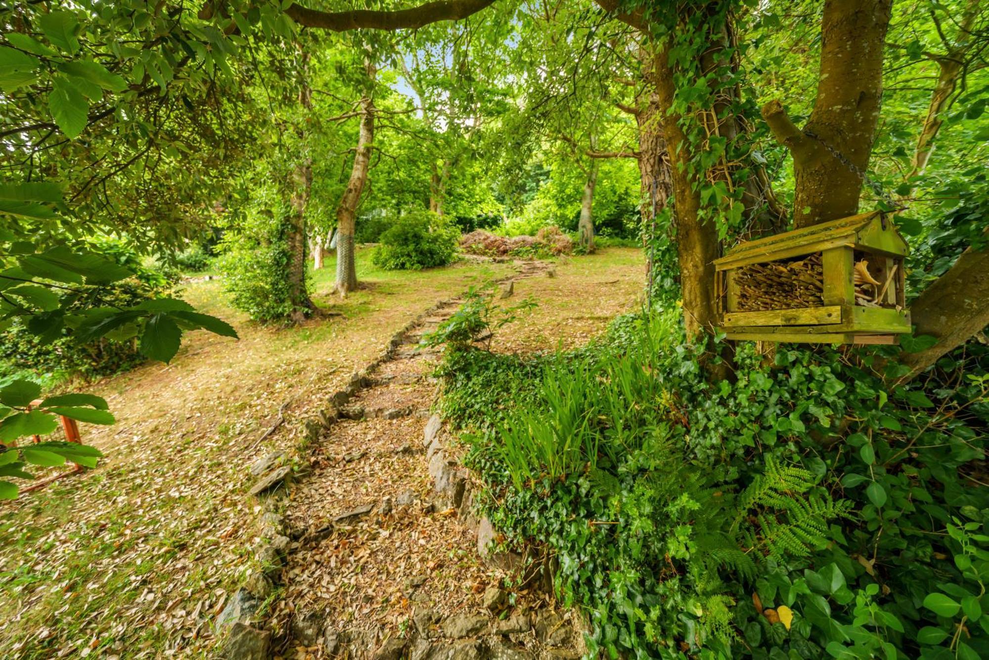 Ingleside Otel Lynton Dış mekan fotoğraf